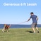 Pawtitas Teal Dog Leash 6 ft Custom ID Lead for Dogs Puppies Reflective Comfortable Padded Handle Embroidered Name Phone Number
