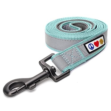 Pawtitas Teal Dog Leash 6 ft Custom ID Lead for Dogs Puppies Reflective Comfortable Padded Handle Embroidered Name Phone Number