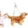 KUIDAMOS Pet Dog Grooming LoopNo Sit Haunch Holder Wash Choker with Loop Noose Double Noose Ropes Adjustable Loop Noose Dog Grooming Leash for Dogs Cats Fix Pets