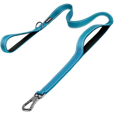 PetiFine 5FT Heavy Duty Dog Leash with Soft Padded Double Handle Durable Strong Clasp Dog Leashes Reflective Nylon Walking Lead for LargeMediumSmall Breed Dogs Blue