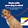 PetSafe Nylon Dog Leash Strong Durable Traditional Style Lead with Easy to Use Bolt Snap for Small Medium and Large Dogs 1 x 4 Red