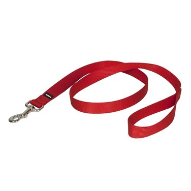 PetSafe Nylon Dog Leash Strong Durable Traditional Style Lead with Easy to Use Bolt Snap for Small Medium and Large Dogs 1 x 4 Red