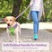 PHOEPET 5 Feet Dog Leash DualSide Reflective Soft Padded Handle Fit for Walking Training or Exploring Hiking Camping Baby Purple Green Base