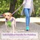 PHOEPET 5 Feet Dog Leash DualSide Reflective Soft Padded Handle Fit for Walking Training or Exploring Hiking Camping Baby Purple Green Base