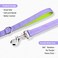 PHOEPET 5 Feet Dog Leash DualSide Reflective Soft Padded Handle Fit for Walking Training or Exploring Hiking Camping Baby Purple Green Base