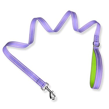 PHOEPET 5 Feet Dog Leash DualSide Reflective Soft Padded Handle Fit for Walking Training or Exploring Hiking Camping Baby Purple Green Base