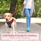 PHOEPET 5 Feet Dog Leash DualSide Reflective Soft Padded Handle Fit for Walking Training or Exploring Hiking Camping Red Black Base