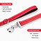 PHOEPET 5 Feet Dog Leash DualSide Reflective Soft Padded Handle Fit for Walking Training or Exploring Hiking Camping Red Black Base