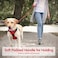 PHOEPET 5 Feet Dog Leash Reflective Heavy Duty Padded Rubber Handle 360 No Tangles for Small Medium and Large DogsRed