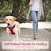 PHOEPET 5 Feet Dog Leash Reflective Heavy Duty Padded Rubber Handle 360 No Tangles for Small Medium and Large DogsRed