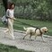 PHOEPET 5 Feet Heavy Duty Dog Leash Reflective Soft Padded Handle Traffic Grip for Extra Control LGrey