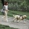 PHOEPET 5 Feet Heavy Duty Dog Leash Reflective Soft Padded Handle Traffic Grip for Extra Control LPink