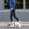 Rogz Reflective Dog Leash for Extra Large Dogs 1 wide 6 long Green