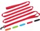 SEPXUFORE 10 FT Double Handle Dog Leash Reflective Traffic Leash with 2 Handles Heavy Duty Easy Control Training Walking Nylon Dog Lead for Large Medium Dogs and Pullers Red
