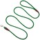 SEPXUFORE Small Dog Leash 14 by 6810 FT Lightweight Strong Nylon Rope Leash Bright Classic Lead for Small PetsPuppy 8ft Dark Green
