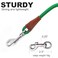 SEPXUFORE Small Dog Leash 14 by 6810 FT Lightweight Strong Nylon Rope Leash Bright Classic Lead for Small PetsPuppy 8ft Dark Green