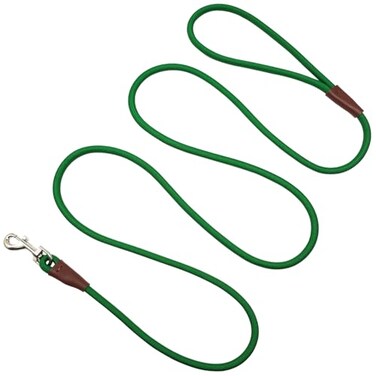 SEPXUFORE Small Dog Leash 14 by 6810 FT Lightweight Strong Nylon Rope Leash Bright Classic Lead for Small PetsPuppy 8ft Dark Green