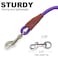 SEPXUFORE Small Dog Leash 14 by 6810 FT Lightweight Strong Nylon Rope Leash Bright Classic Lead for Small PetsPuppyCat 6ft Purple