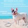 viunimo Slip Lead 6 FT Dog Training Leash 6 Color Slip Leads for Medium Dogs No Pull Grey Leash