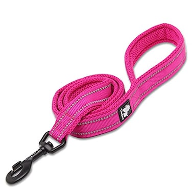 TRUE LOVE Reflective Dog Leash Puppy Walking Lead Padded Pet Chain RopeLength 110cm TLL2111FushciaM