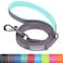 VIVAGLORY Dog Leash Dailyx Pet Leash with Soft Padded Handle for Training Walking Heavy Duty Double Layer Nylon for Pet Puppy Collar 4ft x 12in Grey