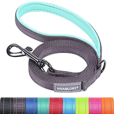 VIVAGLORY Dog Leash Dailyx Pet Leash with Soft Padded Handle for Training Walking Heavy Duty Double Layer Nylon for Pet Puppy Collar 4ft x 12in Grey