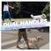 VIVAGLORY Dog Leash Twingrip Double Handle Dog Leash with Traffic Handle Control 2 Loop for Walking Training Reflective Heavy Duty for Puppy Pet Collar 6ft x 12in Blue