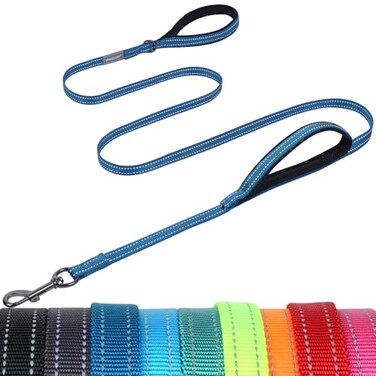 VIVAGLORY Dog Leash Twingrip Double Handle Dog Leash with Traffic Handle Control 2 Loop for Walking Training Reflective Heavy Duty for Puppy Pet Collar 6ft x 12in Blue