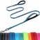 VIVAGLORY Dog Leash Twingrip Double Handle Dog Leash with Traffic Handle Control 2 Loop for Walking Training Reflective Heavy Duty for Puppy Pet Collar 6ft x 12in Blue