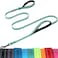 VIVAGLORY Dog Leash Twingrip Double Handle Dog Leash with Traffic Handle Control 2 Loop for Walking Training Reflective Heavy Duty for Puppy Pet Collar 6ft x 12in Turquoise