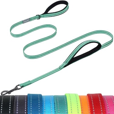 VIVAGLORY Dog Leash Twingrip Double Handle Dog Leash with Traffic Handle Control 2 Loop for Walking Training Reflective Heavy Duty for Puppy Pet Collar 6ft x 12in Turquoise