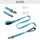 Waggin Tails Wagtime Club Double Handle Dog Leash 6ft Long Heavy Duty Dog Leash with Paded Traffic Handles for Extral Control and Training Dual Handles Leads Large Medium Small Dogs Bright Blue