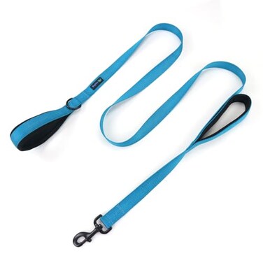 Waggin Tails Wagtime Club Double Handle Dog Leash 6ft Long Heavy Duty Dog Leash with Paded Traffic Handles for Extral Control and Training Dual Handles Leads Large Medium Small Dogs Bright Blue