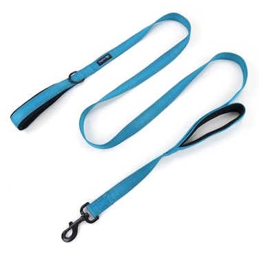 Waggin Tails Wagtime Club Double Handle Dog Leash 6ft Long Heavy Duty Dog Leash with Paded Traffic Handles for Extral Control and Training Dual Handles Leads Large Medium Small Dogs Reflective Bright
