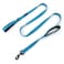 Waggin Tails Wagtime Club Double Handle Dog Leash 6ft Long Heavy Duty Dog Leash with Paded Traffic Handles for Extral Control and Training Dual Handles Leads Large Medium Small Dogs Reflective Bright