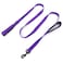 Waggin Tails Wagtime Club Double Handle Dog Leash 6ft Long Heavy Duty Dog Leash with Paded Traffic Handles for Extral Control and Training Dual Handles Leads Large Medium Small Dogs Reflective Vibrant