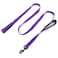 Waggin Tails Wagtime Club Double Handle Dog Leash 6ft Long Heavy Duty Dog Leash with Paded Traffic Handles for Extral Control and Training Dual Handles Leads Large Medium Small Dogs Reflective Vibrant