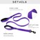 Waggin Tails Wagtime Club Double Handle Dog Leash 6ft Long Heavy Duty Dog Leash with Paded Traffic Handles for Extral Control and Training Dual Handles Leads Large Medium Small Dogs Vibrant Purple