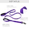 Waggin Tails Wagtime Club Double Handle Dog Leash 6ft Long Heavy Duty Dog Leash with Paded Traffic Handles for Extral Control and Training Dual Handles Leads Large Medium Small Dogs Vibrant Purple