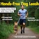 JC HOUSE Hands Free Dog Leash with Waist Belt Lifetime Replacement Dual Handle Bungee Leash for Running Jogging Hiking and Walking for Medium and Large Dogs 5318