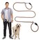 pawstrip Pawstrip HandsFree Dog Leash Multifunctional Reflective Waist and Crossbody Training Leash for Walking and Running Adjustable Nylon Double Leashes for Small Medium Large Dogs
