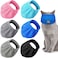 Sotiff 6 Pcs Cat Muzzle for Grooming Breathable Mesh Muzzles Gentle and Soft Colorful Cat Mouth Guard for Anti Biting Chewing GroomingBlack Blue Gray Light Gray Pink Light Blue