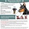 BARKLESS Dog Muzzle Basket Muzzle for Small Medium Large Dogs Soft Cage Mouth Cover for Biting Chewing Allow Drinking Panting for German Shepherd Pitbull Rottweiler 1 Snout 67 Green