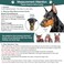 BARKLESS Dog Muzzle Silicone Basket Muzzle for Small Medium Large Dogs Soft Cage Mouth Cover Prevent Biting Chewing Allow Drinking Panting Suitable for German Shepherd