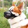 Crazy Felix Dog Muzzle Soft Mesh Muzzle for Small Medium Large Dogs Labrador German Shepherd Breathable Adjustable Mouth Guard for Biting Chewing Scavenging Allows Panting and DrinkingBlackXS
