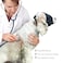 DELIFUR Dog Muzzle Pet Eye Cover Dog Blindfold Thunder Cap for Dogs Eye Mask Nylon Shading for Grooming Anti Car Sickness Adjustable Regular S