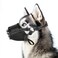 Aiieim Dog Muzzle for Small Medium Large Sized Dogs Soft Mouth Guard Muzzles with Adjustable Breathable Mesh Puppy Muzzle Mask for Training Black L