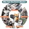 Aiieim Dog Muzzle for Small Medium Large Sized Dogs Soft Mouth Guard Muzzles with Adjustable Breathable Mesh Puppy Muzzle Mask for Training Black M