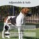 JOYPAWS Dog Muzzle Comfortable Air Mesh Breathable Muzzle Wavy Stripe Adjustable Drinkable Loop Pattern Pets Muzzles for Small Dogs Stop Biting Barking and Chewing for Chihuahua Grey S