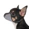 JOYPAWS Dog Muzzle for Extra Small Dogs Soft Air Mesh Muzzles Anti Prevent Biting Chewing Barking Reflective Ajustable Full Coverage Dog Mouth Guard Cover for Grooming Scavenging Black XS